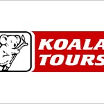 Koala tours